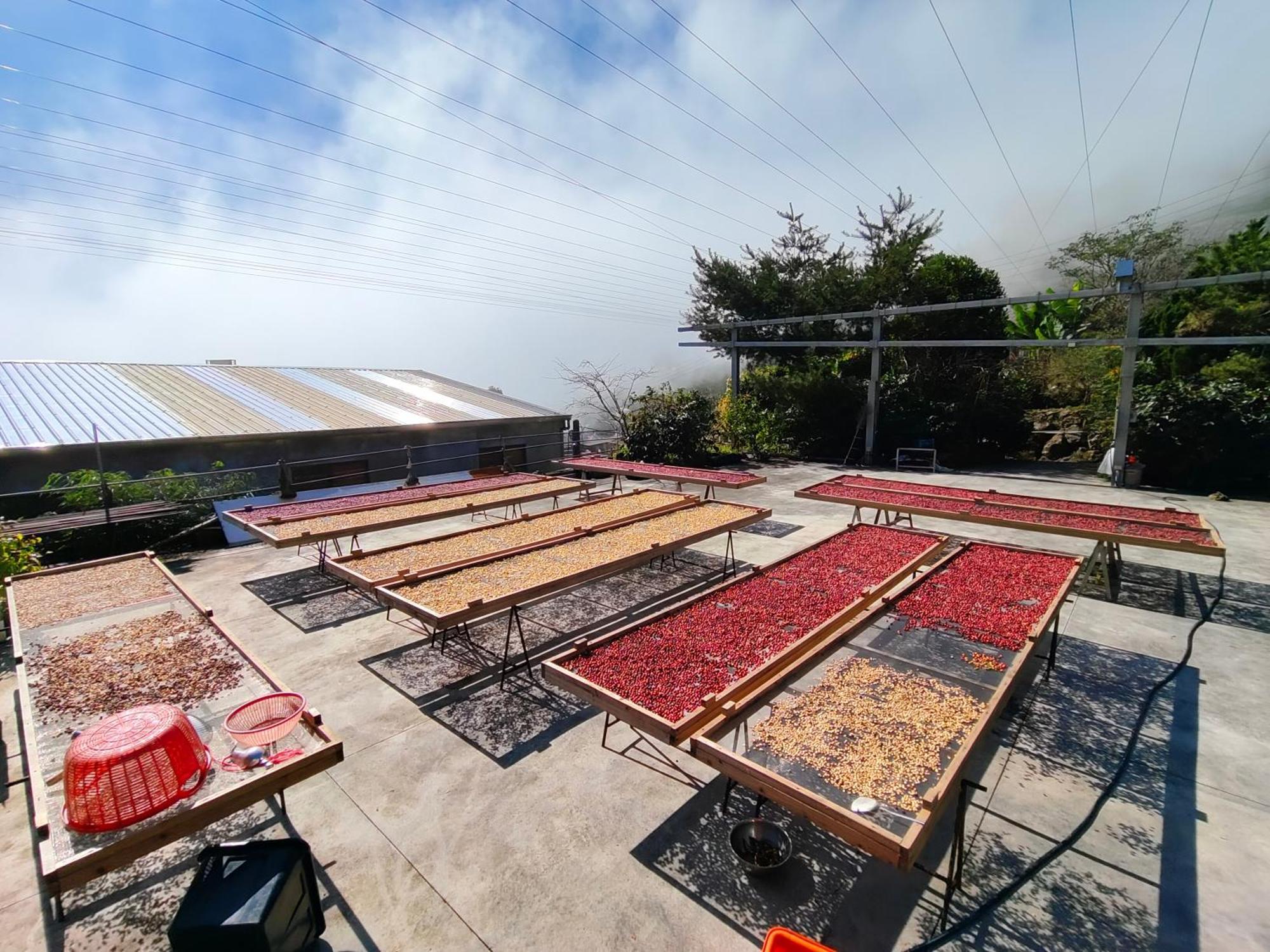 Slow House Fanlu Exterior photo